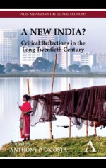 A New India?: Critical Reflections in the Long Twentieth Century - Anthony P. D'Costa, Deepak Nayyar