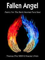 Fallen Angel: Poetry for the Dark-Hearted Pure-Soul - Thomas Frick