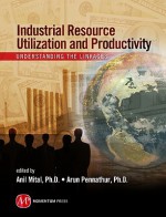 Industrial Resource Utilization and Productivity: Understanding the Linkages - Anil Mital