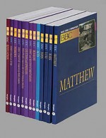 Basic Bible Commentary New Testament Set: 13 Volumes - Abingdon Press, Lynne M. Deming