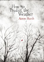 How to Predict the Weather - Aaron Burch