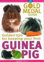 Guinea Pig - Amanda O'Neill