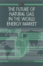 The Future of Natural Gas in the World Energy Market - The Emirates Center for Strategic Studies and Research