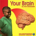 Your Brain - Terri DeGezelle, Terri