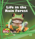 Life in the Rain Forest - Sarah Levete