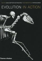 Evolution in Action: Natural History Through Spectacular Skeletons - Jean-Baptiste de Panafieu, Patrick Gries