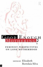 Good Enough Mothering?: Feminist Perspectives on Lone Motherhood - Elizabeth Bortolaia Silva