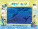 A Magic Skeleton Book: Under the Sea - Sarah Fabiny, Jan Smith