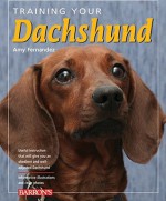 Training Your Dachshund (Training Your Dog) - Amy Fernandez