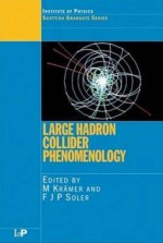 Large Hadron Collider Phenomenology - M. Kramer