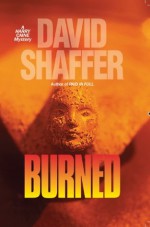 Burned (A Harry Caine Mystery) - David Shaffer