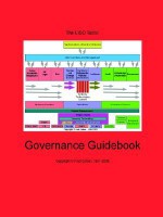 The Chief Information Security Officer's Toolkit: Governance Guidebook - Fred Cohen