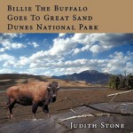 Billie the Buffalo Goes to Great Sand Dunes National Park - Judith Stone