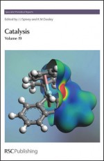 Catalysis (SPR Catalysis (RSC)) (Vol. 19) - James J. Spivey, Sanjay K. Agarwal, Royal Society of Chemistry, Justin Hargreaves, James G Goodwin, Bert M. Weckhuysen, A. Jansen