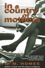 In a Country of Mothers - A.M. Homes