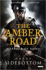 The Amber Road: Warrior of Rome: Book VI (Hardback) - Common - by Harry Sidebottom