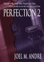 Perfection 2 - Joel M. Andre