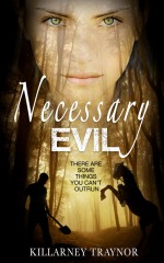 Necessary Evil - Killarney Traynor