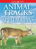 Animal Tracks of the Appalachians - Tamara Eder