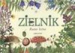 Zielnik. Runo leśne - Henryk Garbarczyk