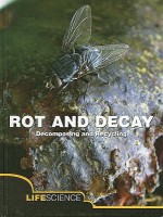 Rot And Decay: A Story Of Death, Scavengers, And Recycling - Sarah Levete