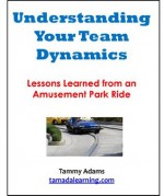 Understanding Your Team Dynamics: Lessons Learned from an Amusement Park - Tammy Adams