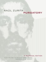 Purgatory: A Bilingual Edition - Raúl Zurita, Anna Deeny