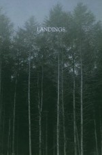 Landings - Richard Skelton