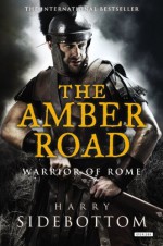 The Amber Road (Warrior of Rome) by Sidebottom, Harry (2014) Hardcover - Harry Sidebottom