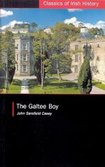 The Galtee Boy: A Fenian Prison Narrative - John S. Casey, Patrick Maume