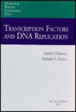 Transcription Factors and DNA Replication - David S. Pederson