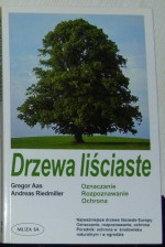 Drzewa liściaste - Gregor Aas