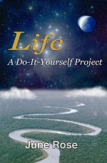 Life: A Do-It-Yourself Project: One Woman's Journey Discovering Life's Riches - June Rose