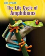 The Life Cycle of Amphibians. Darlene R. Stille - Darlene R. Stille