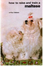 How to Raise & Train a Maltese - Arthur Liebers