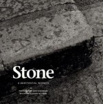 Stone: A Substantial Witness - David Scheinbaum, Ricardo Legorreta