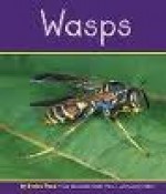 Wasps - Helen Frost, Gail Saunders-Smith