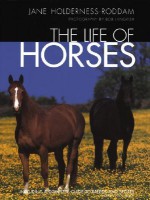 The Life of Horses - Jane Holderness-Roddam