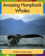 Amazing Humpback Whales - Claire Saxby