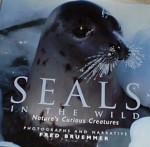 Seals in the Wind: Nature's Curious Creatures - Fred Bruemmer