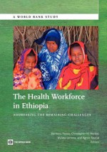 The Health Workforce in Ethiopia: Addressing the Remaining Challenges - Berhanu Feysia, Christopher Herbst, Wuleta Lemma