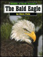 The Bald Eagle - Steve Potts