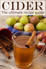 Cider :The Ultimate Guide - Over 30 Delicious & Best Selling Recipes - Danielle Caples, Encore Books