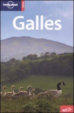 Galles (2a edizione italiana) - David Atkinson, Neil Wilson, Cesare Dapino