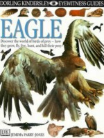 Eagle - Jemima Parry-Jones