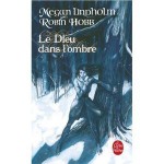 Le Dieu Dans l'Ombre - Megan Lindholm, Claudine Richetin