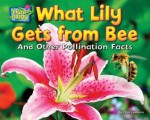 What Lily Gets from Bee: And Other Pollination Facts - Ellen Lawrence