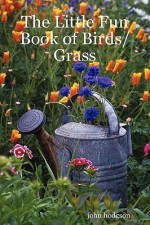 The Little Fun Book of Birds/Grass - John Hodgson