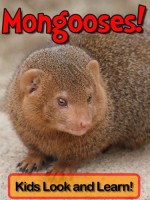 Mongooses! Learn About Mongooses and Enjoy Colorful Pictures - Look and Learn! (50+ Photos of Mongooses) - Becky Wolff