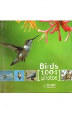 Birds 1001 photos - Rebo Publishers